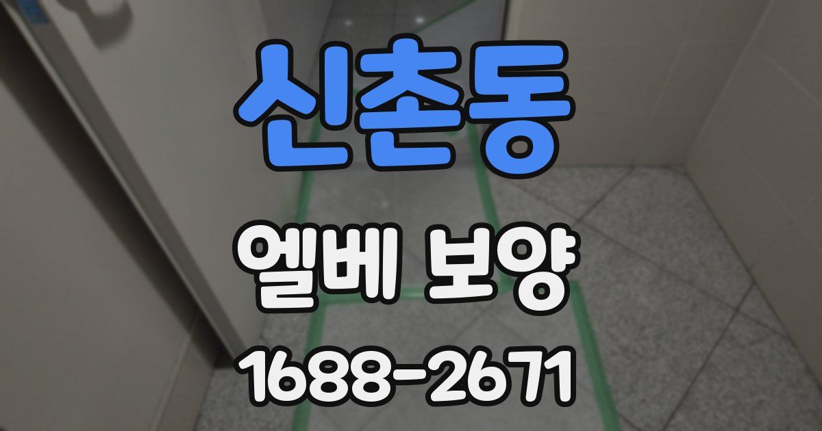 신촌동 엘베 보양