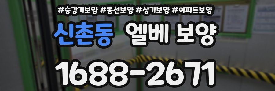신촌동 엘베 보양