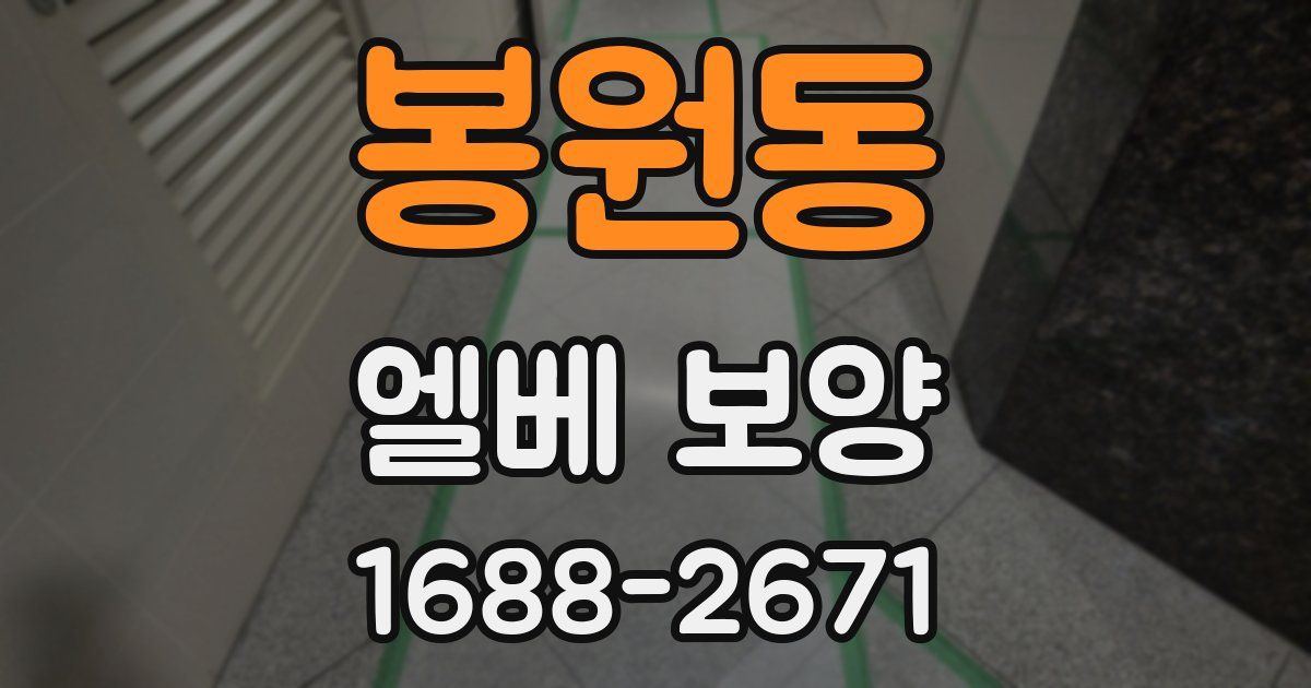 봉원동 엘베 보양