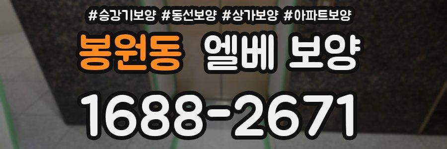 봉원동 엘베 보양