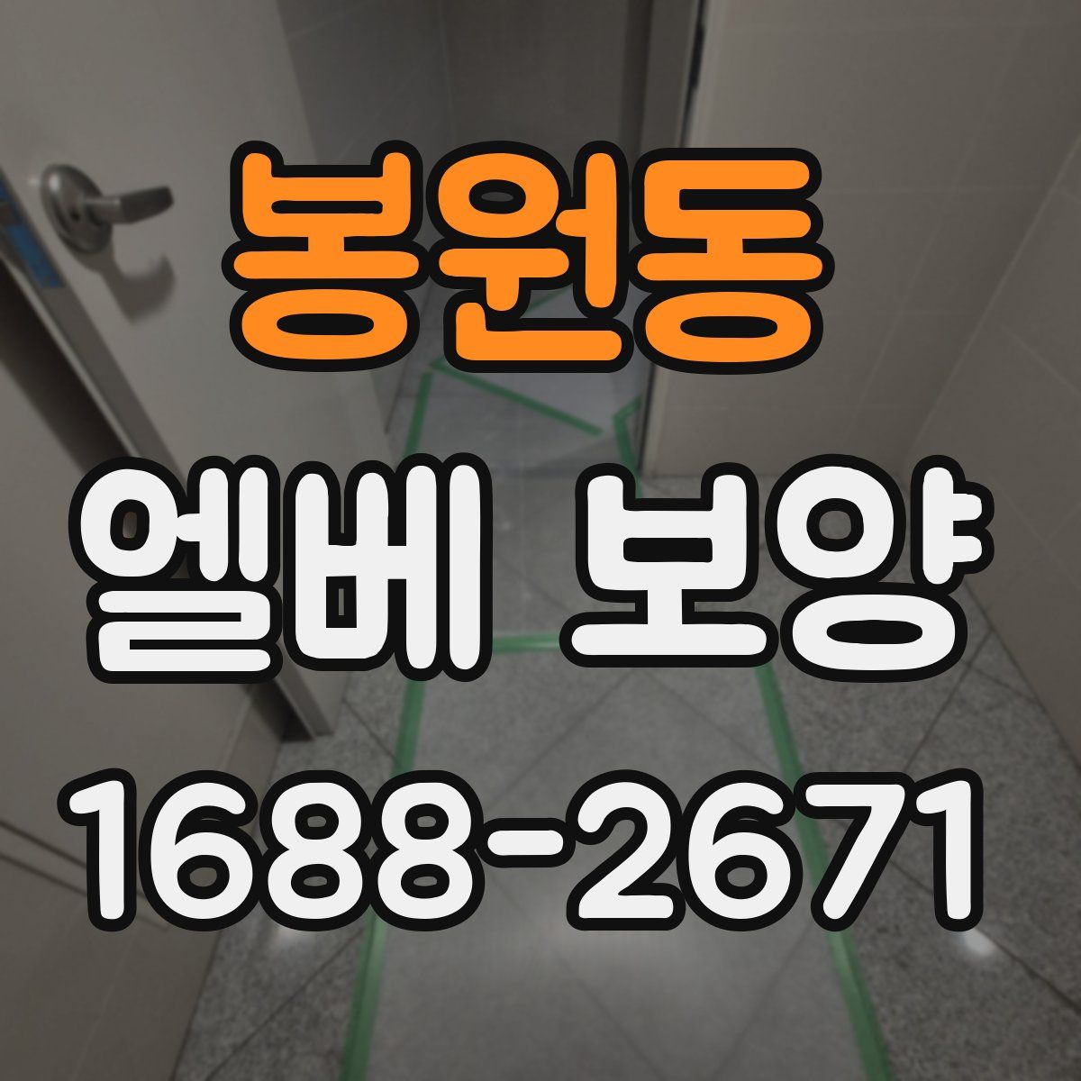 봉원동 엘베 보양