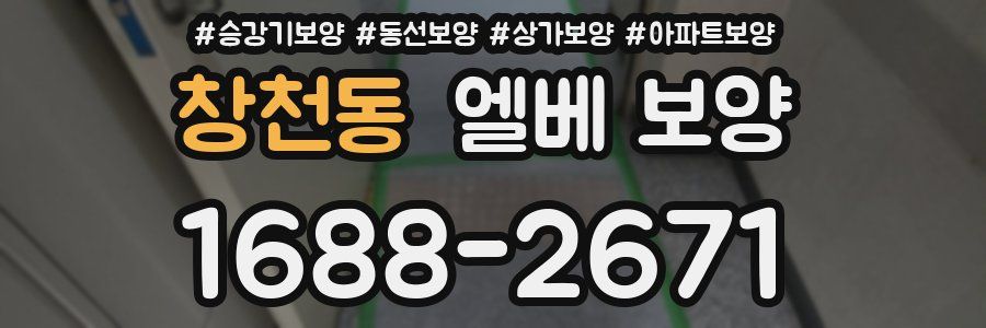 창천동 엘베 보양