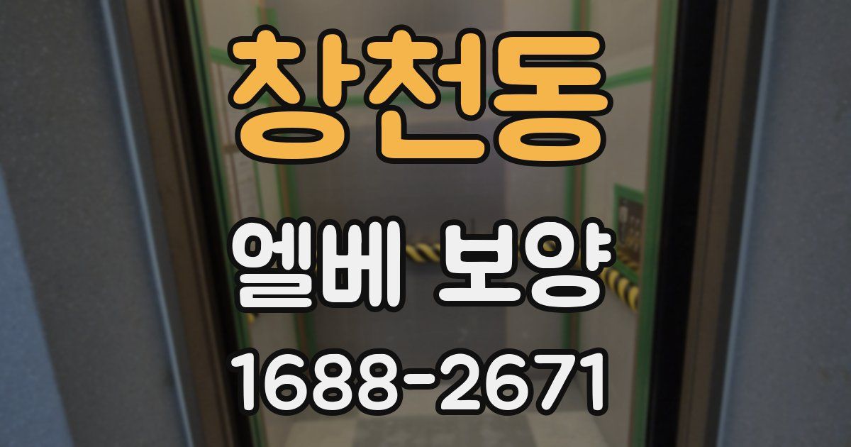 창천동 엘베 보양