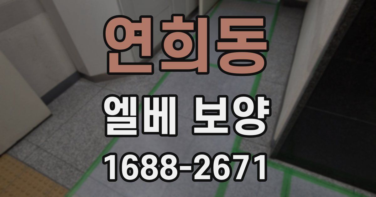 연희동 엘베 보양