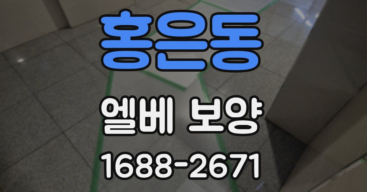 홍은동 엘베 보양