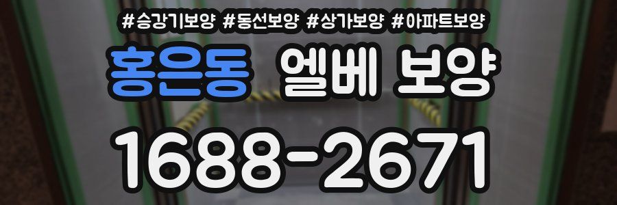 홍은동 엘베 보양