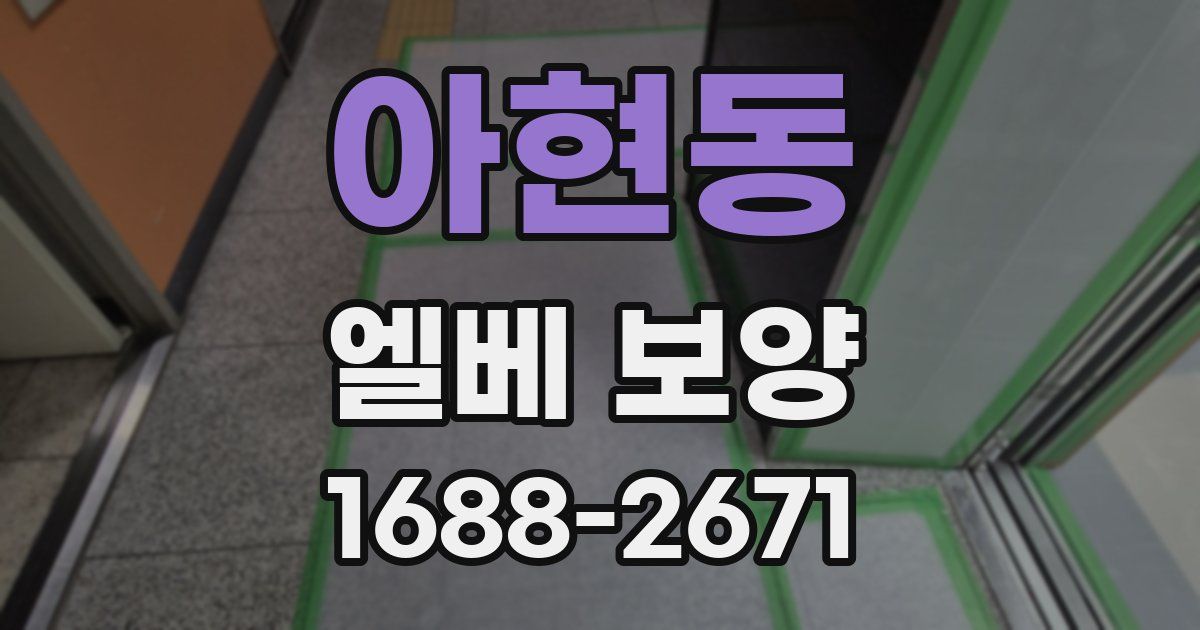 아현동 엘베 보양