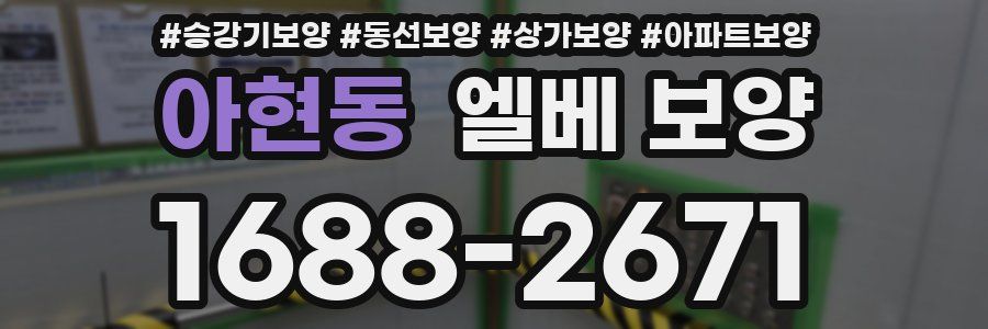 아현동 엘베 보양