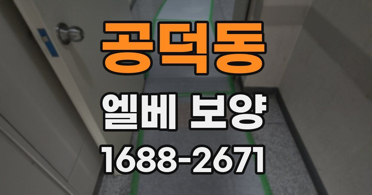 공덕동 엘베 보양