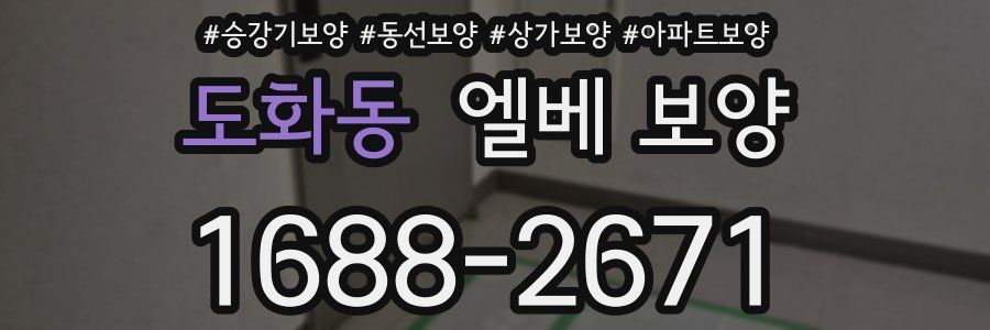 도화동 엘베 보양