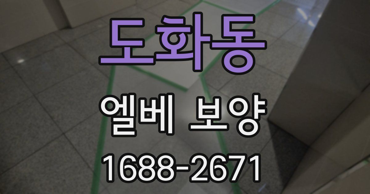 도화동 엘베 보양