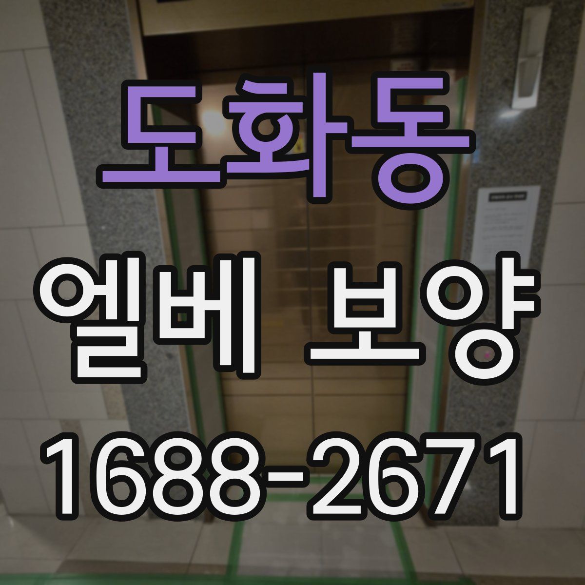 도화동 엘베 보양