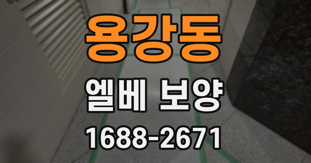 용강동 엘베 보양