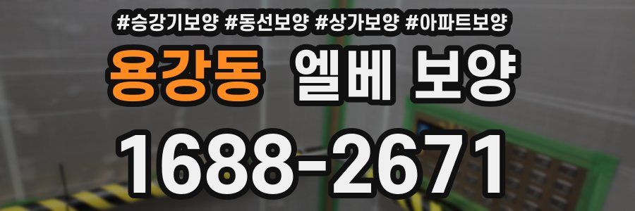 용강동 엘베 보양