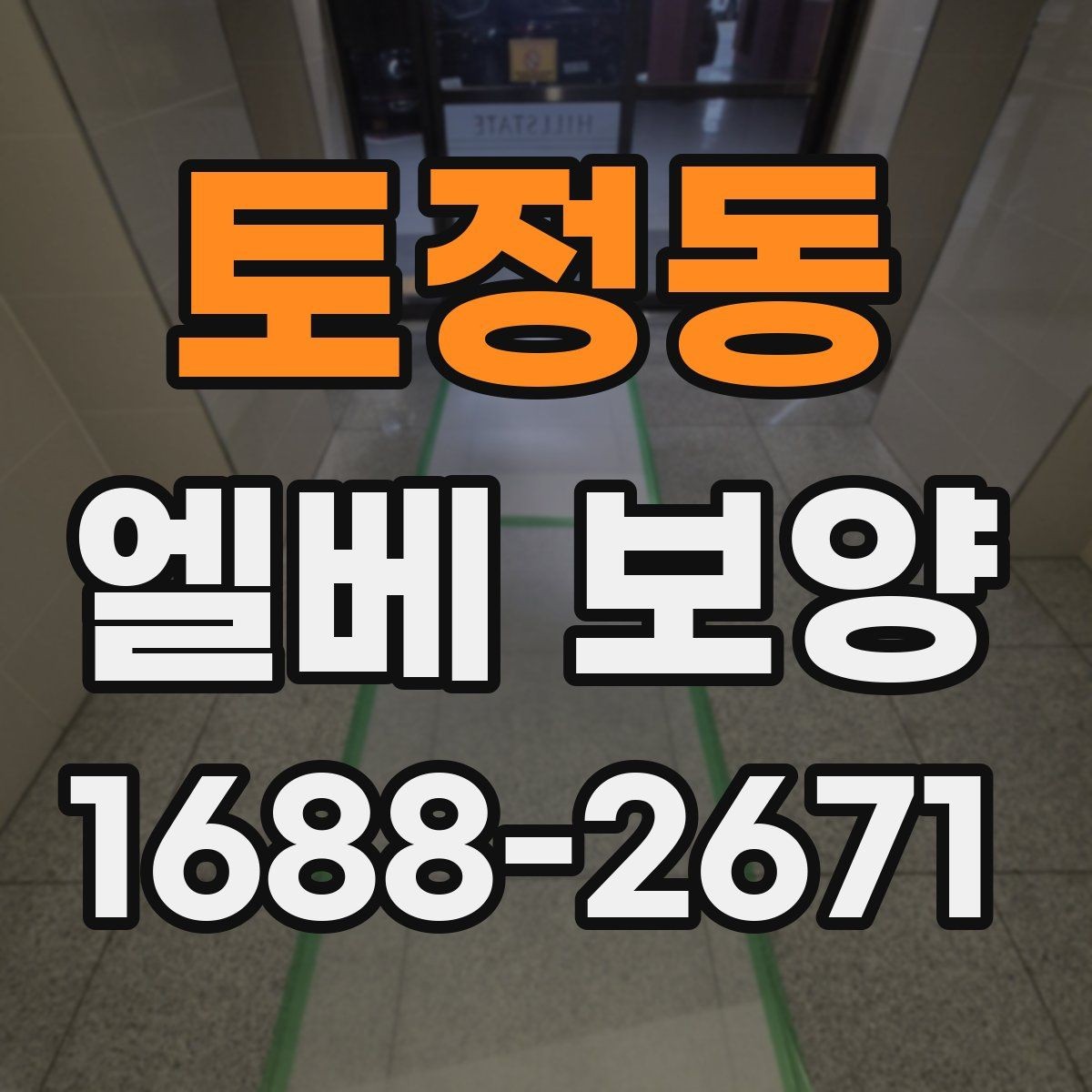 토정동 엘베 보양 바닥 오염 예방과 벽면 보호를 함께 보는 방법