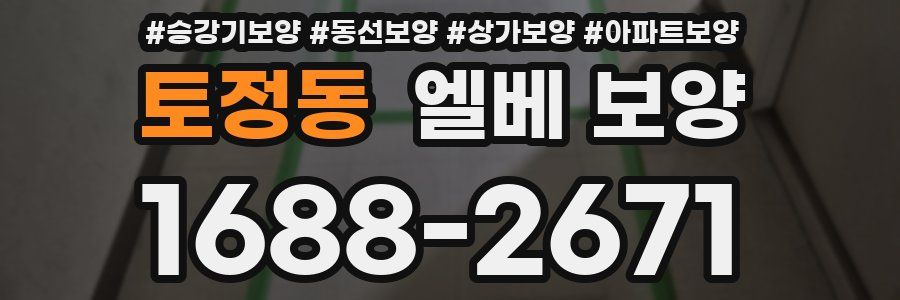 토정동 엘베 보양