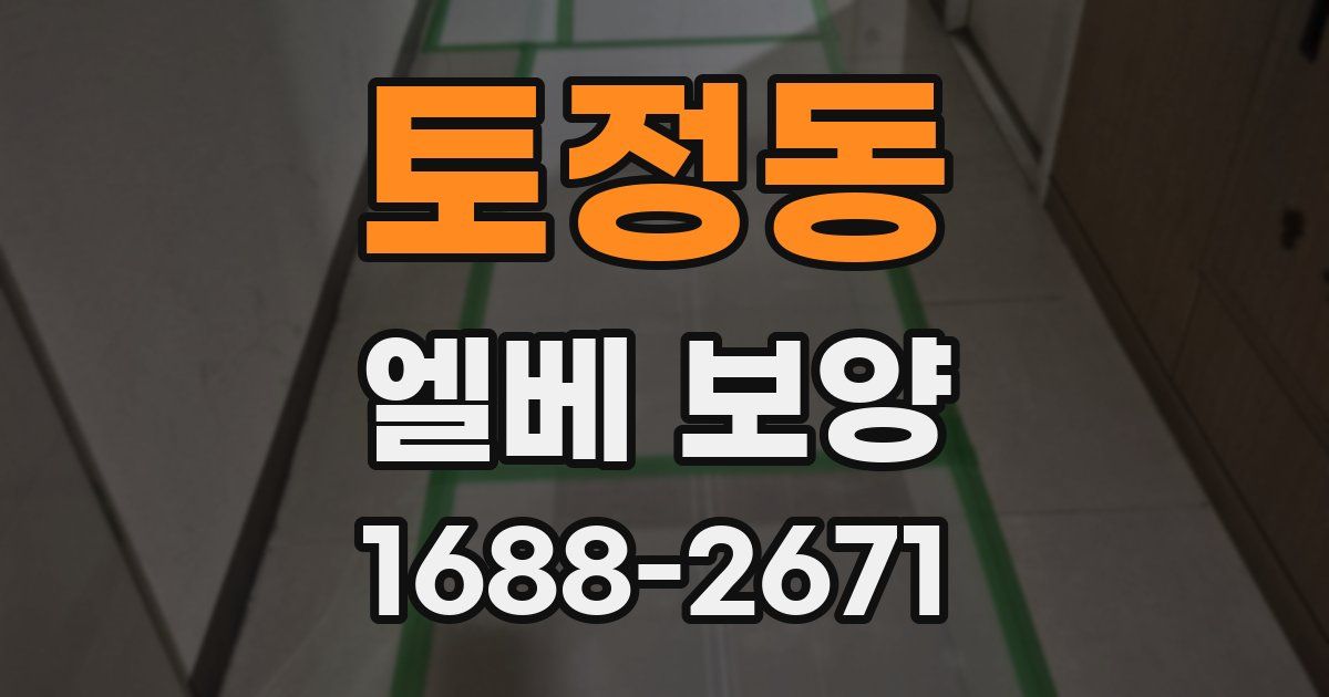 토정동 엘베 보양
