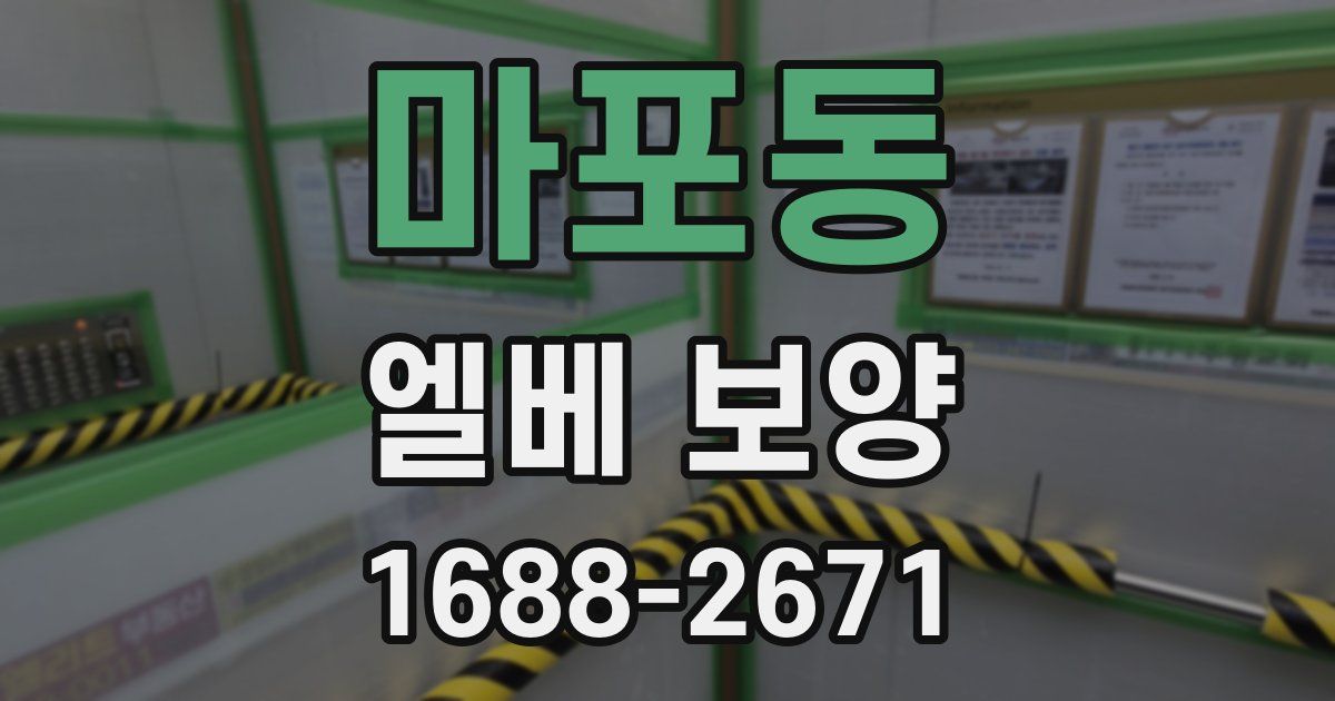 마포동 엘베 보양