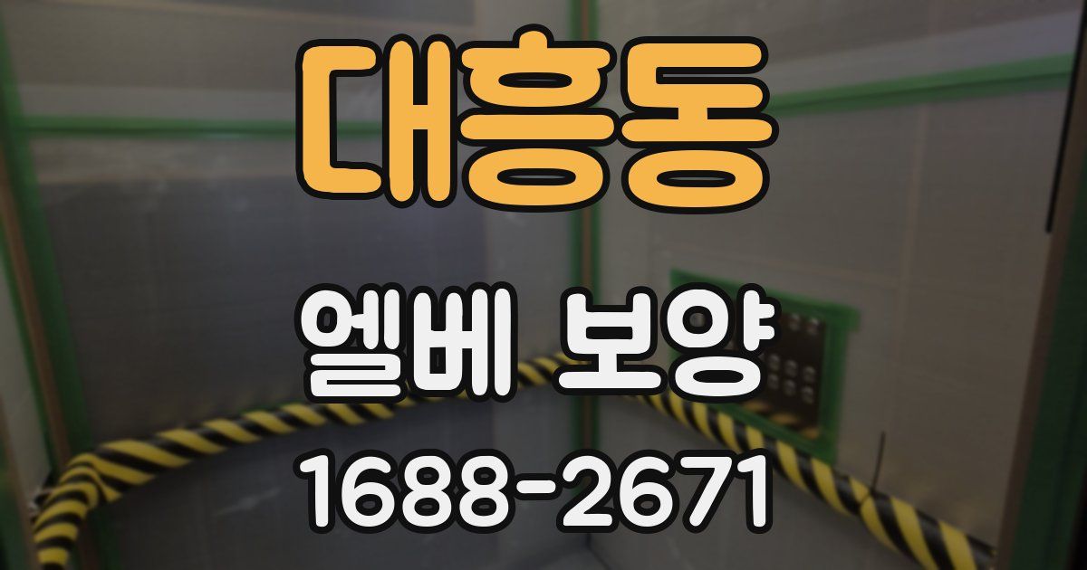 대흥동 엘베 보양