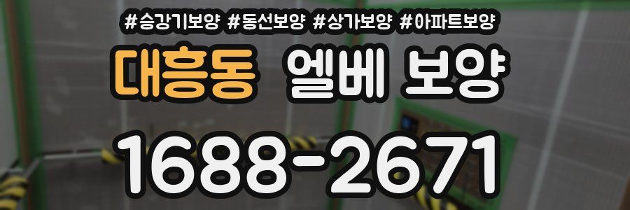 대흥동 엘베 보양