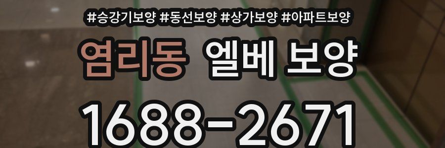염리동 엘베 보양