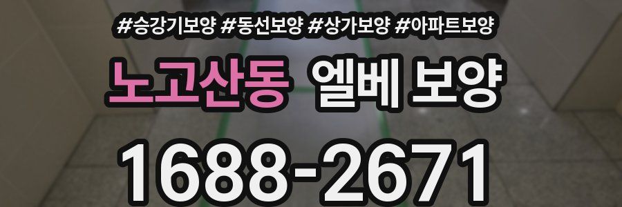 노고산동 엘베 보양