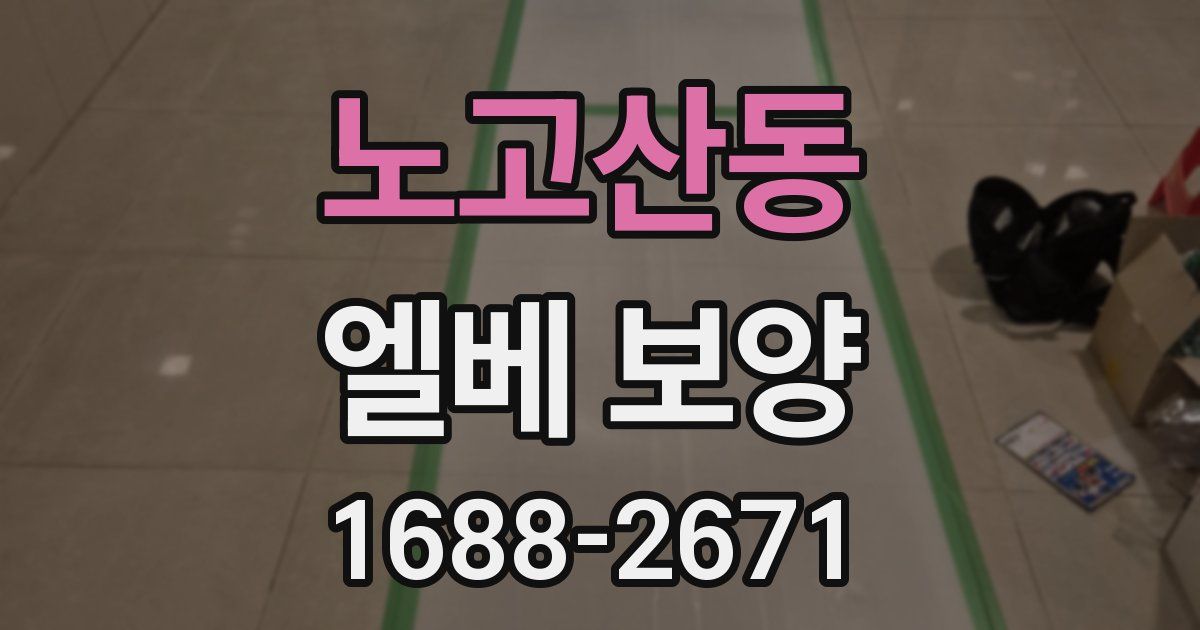 노고산동 엘베 보양