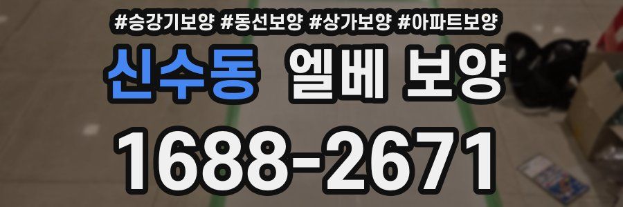 신수동 엘베 보양