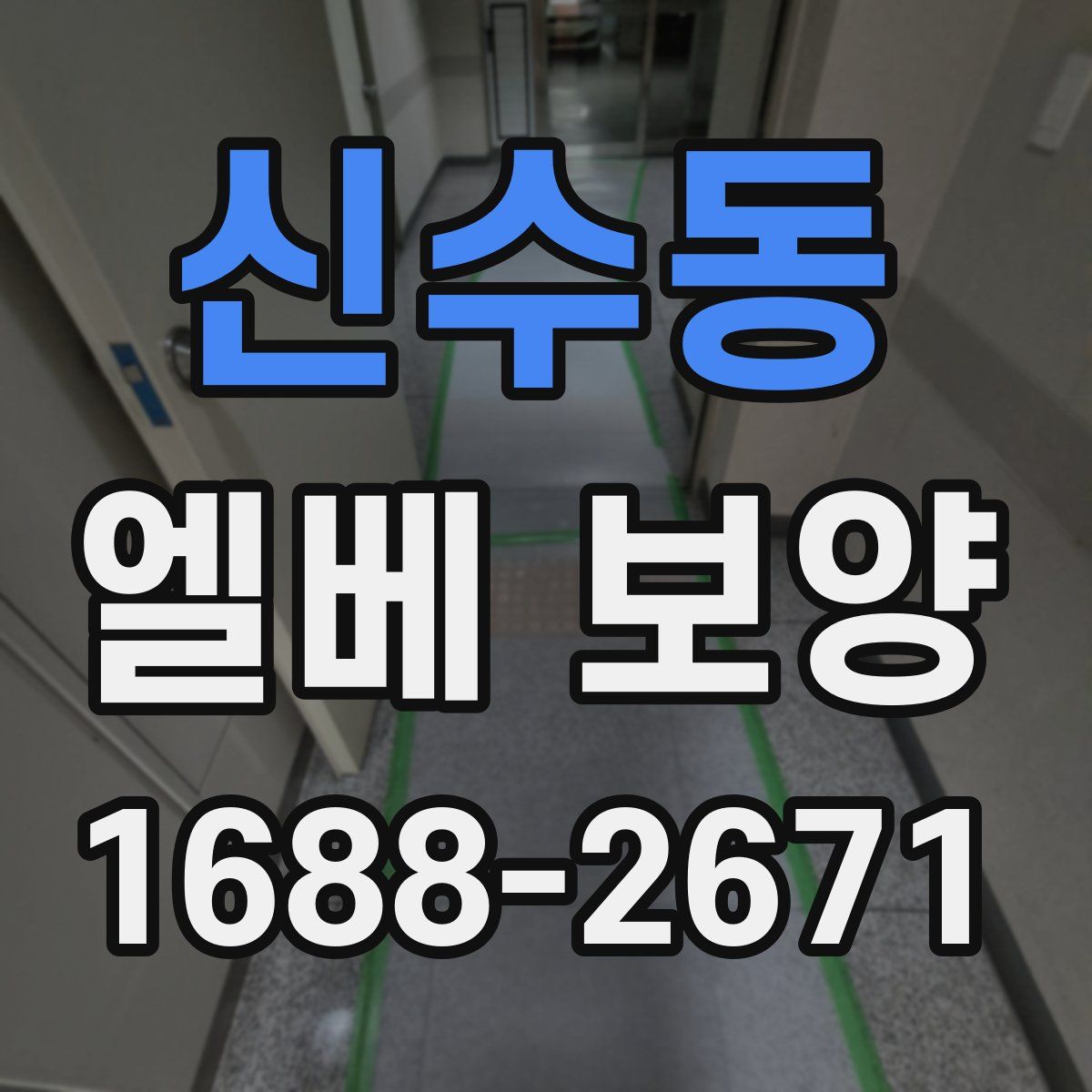 신수동 엘베 보양