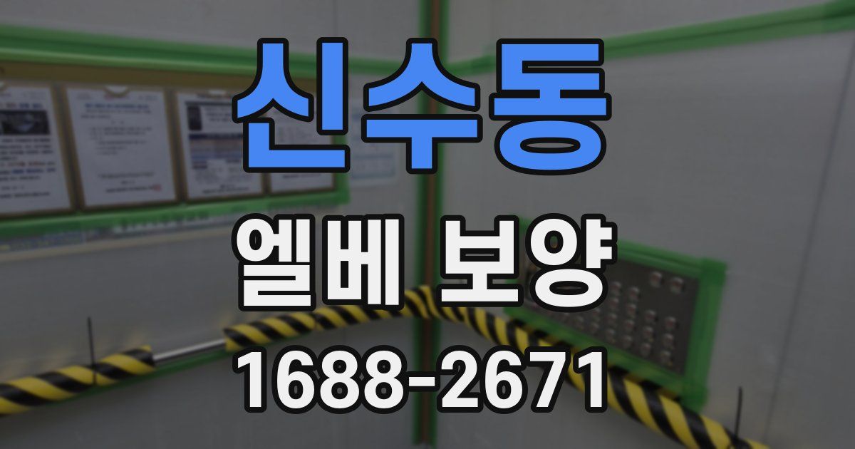 신수동 엘베 보양