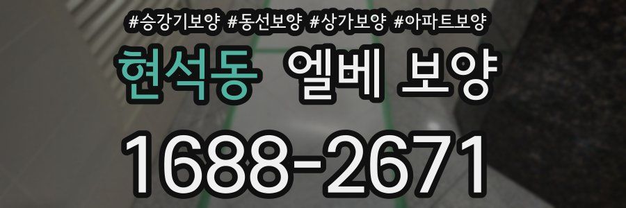 현석동 엘베 보양