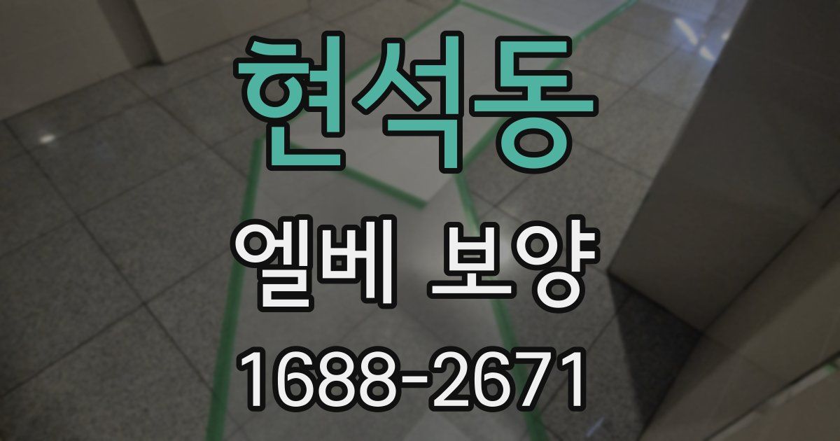 현석동 엘베 보양