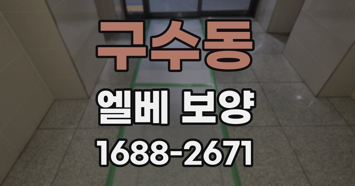 구수동 엘베 보양