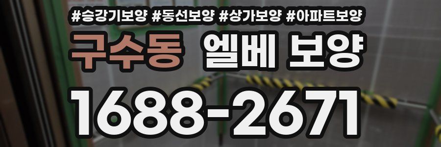 구수동 엘베 보양