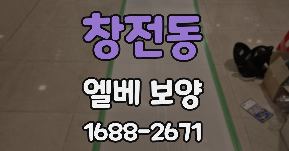 창전동 엘베 보양