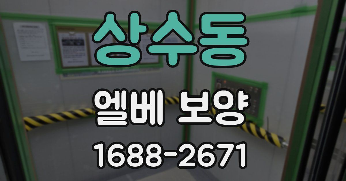 상수동 엘베 보양