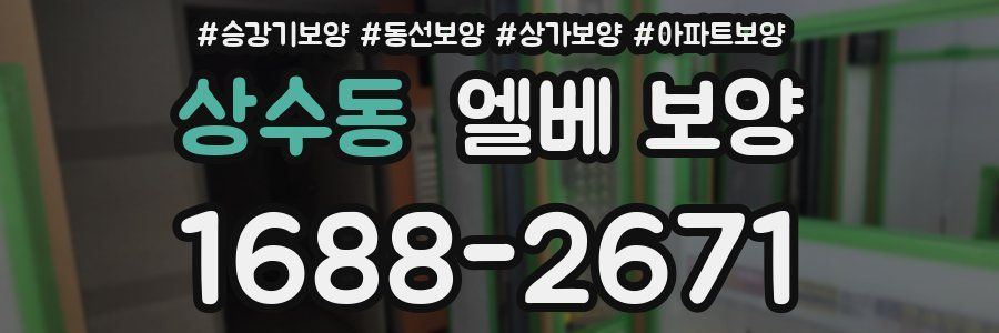 상수동 엘베 보양