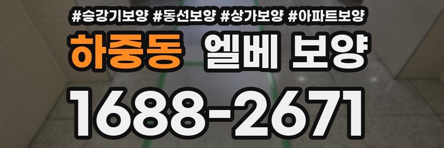하중동 엘베 보양
