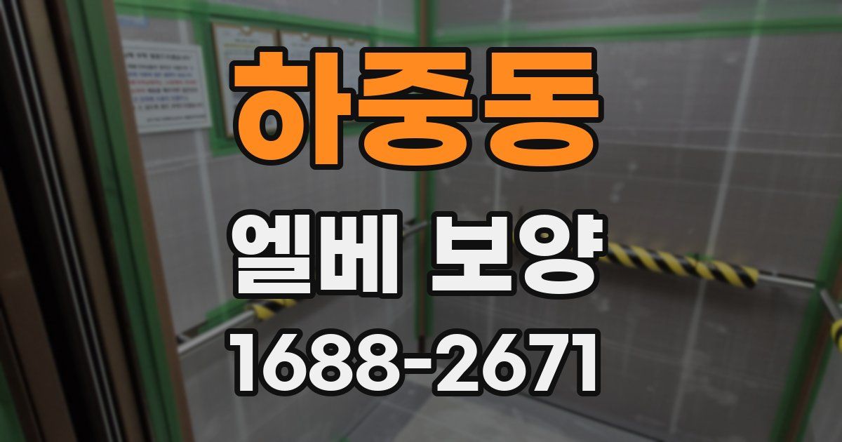 하중동 엘베 보양