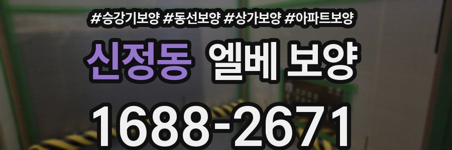 신정동 엘베 보양