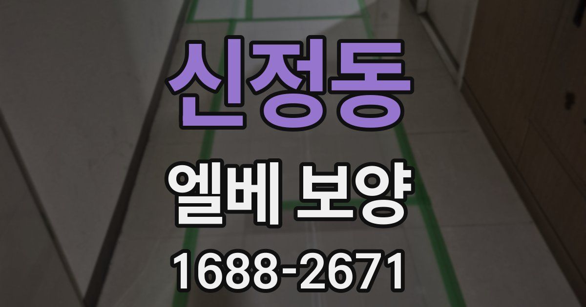신정동 엘베 보양