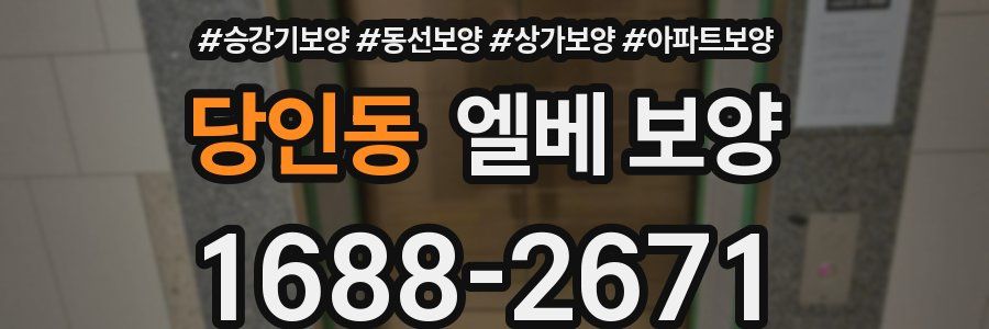 당인동 엘베 보양