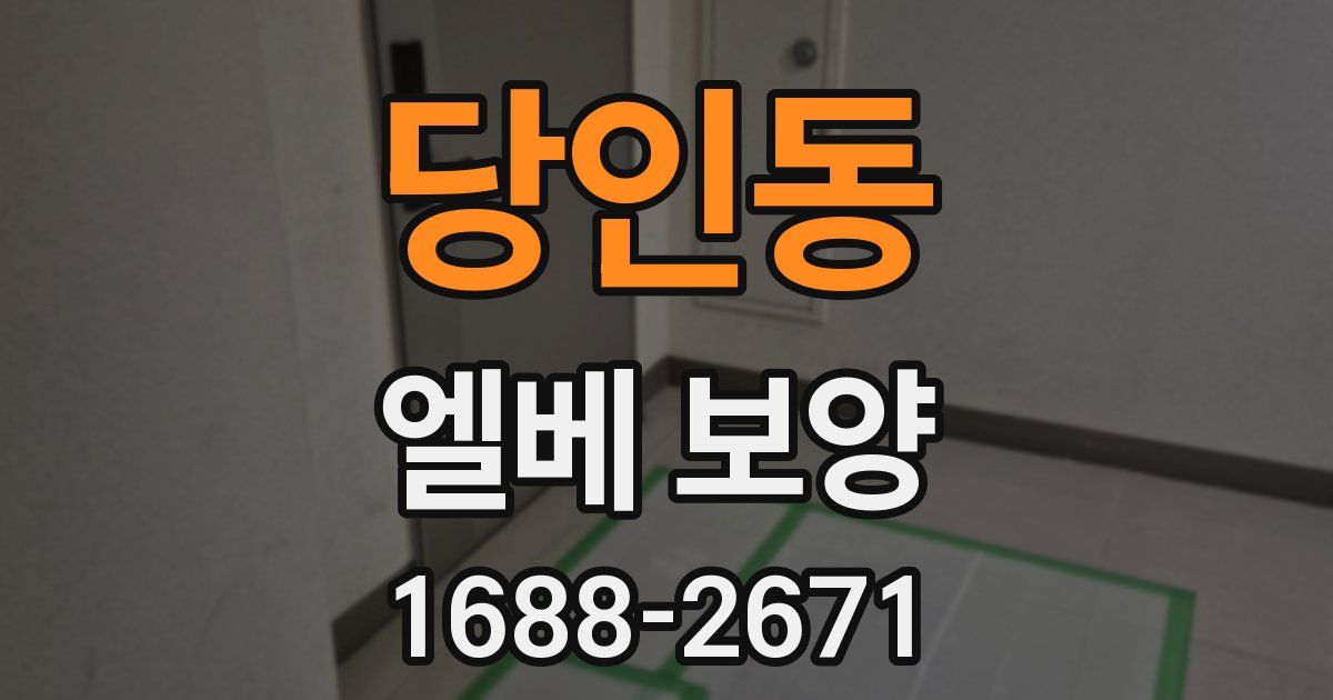 당인동 엘베 보양