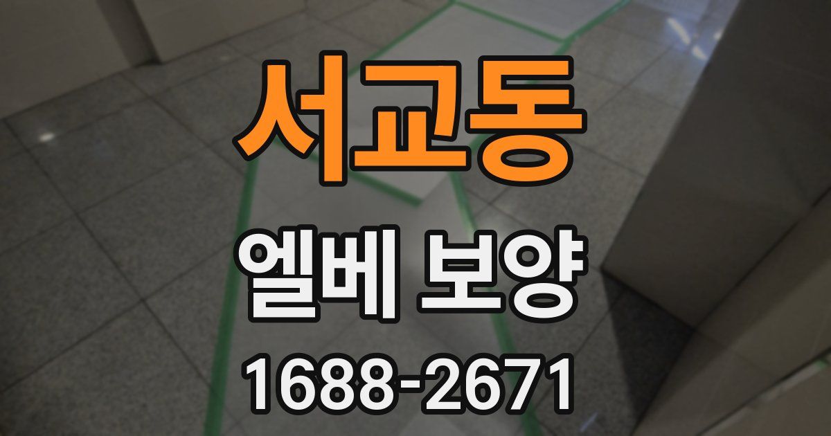 서교동 엘베 보양