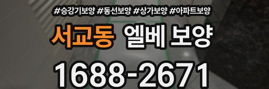 서교동 엘베 보양
