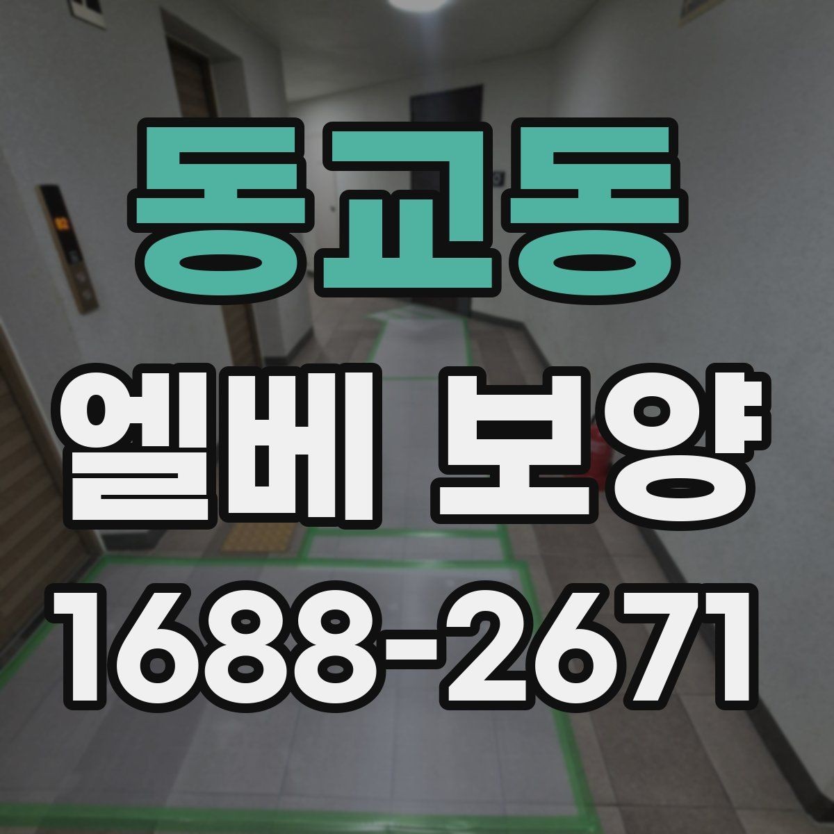 동교동 엘베 보양 입주·이사 현장에서 먼저 확인할 체크포인트