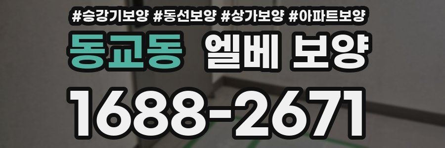 동교동 엘베 보양