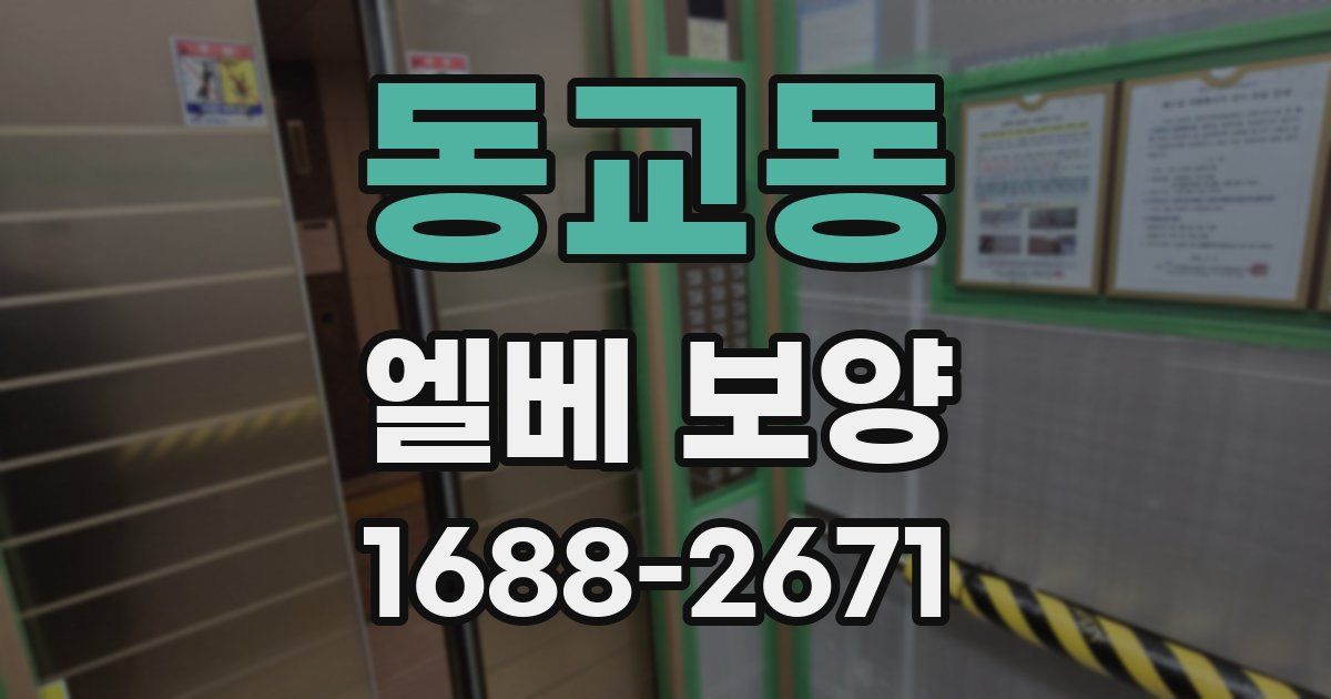 동교동 엘베 보양