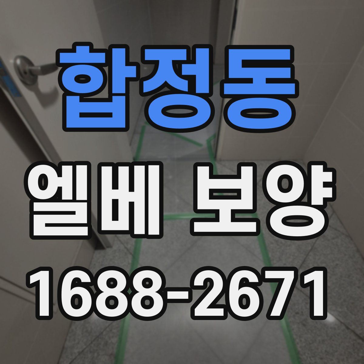합정동 엘베 보양