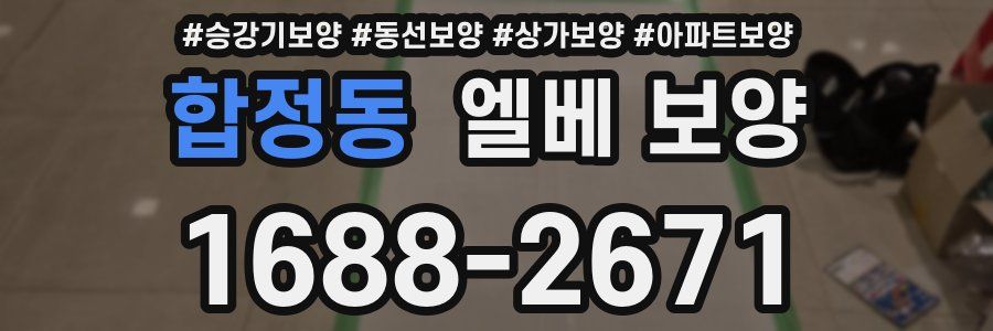 합정동 엘베 보양